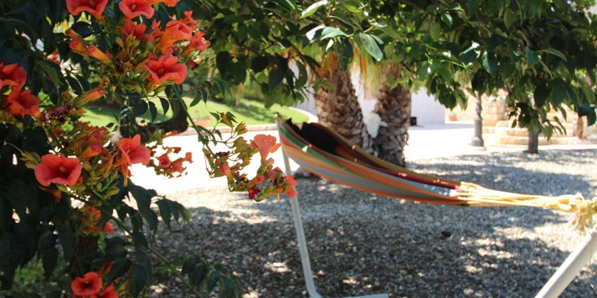 Villa Madia hammock in the shade.JPG